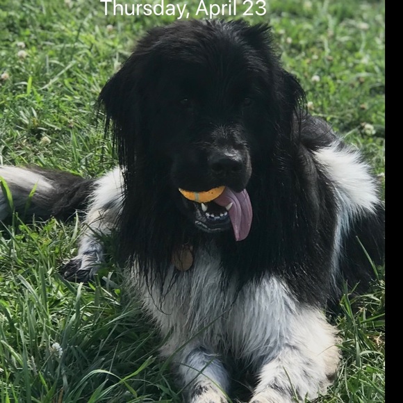 Meet your Posher, Stefan - Picture 1 of 1